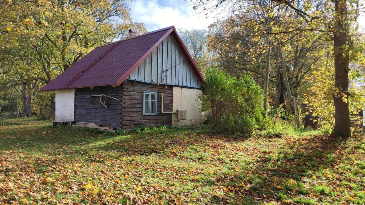 Viini Puhkemaja Pension Mustjala Buitenkant foto