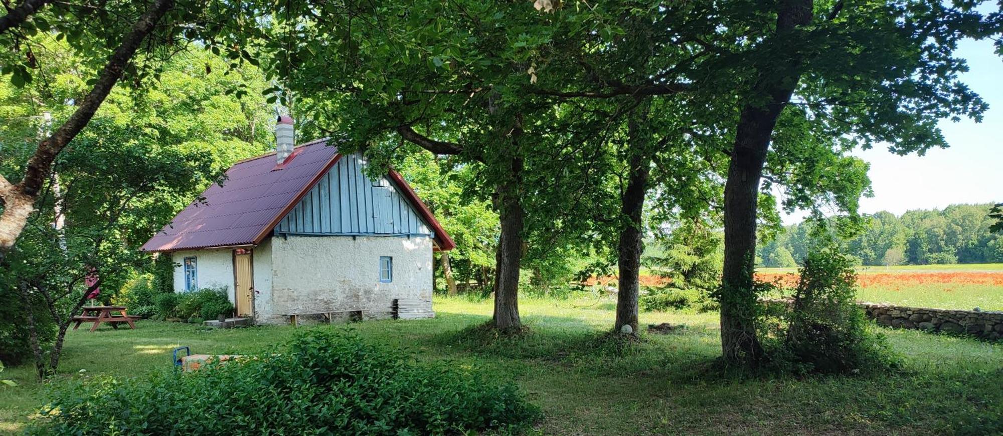 Viini Puhkemaja Pension Mustjala Buitenkant foto